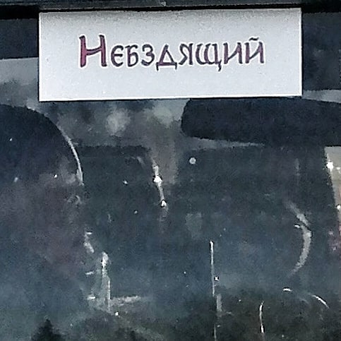 НЕБЗДЯЩИЙ.JPG